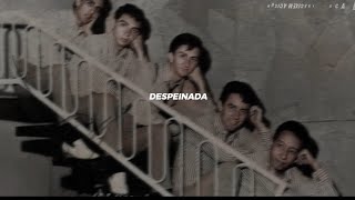 Los Hooligans Despeinada Letra [upl. by Ellener574]