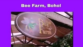 Bee Farm Bohol Part 2 [upl. by Ailido]