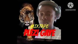 DJ RODNEY HAÏTI MIXTAPE PLEZI GAYE 2024 [upl. by Otrevlig]