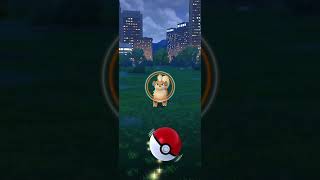 A wild Growlithe has appeared Play Catch me by pressing two times growlithe pokemongo [upl. by Nisa]