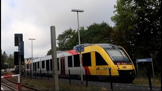 Hachenburg Bahnhof Züge am 2 Oktober 2024 [upl. by Flam]