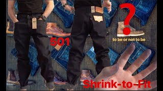 КАК ЭТО ВОЗМОЖНОЯ ПОПАЛ Сырой Деним Levis 501 Shrink to Fit Ч 1 [upl. by Nosreip481]