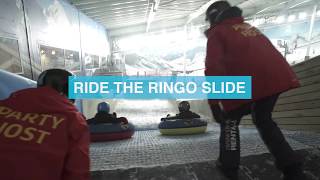 Ride The NEW Ringo Slide [upl. by Inesita]