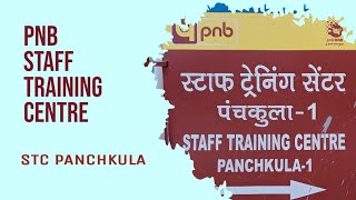 PNB STC Panchkula crazyvideographer [upl. by Viki962]