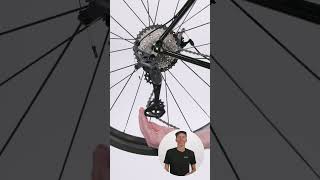 Whats the difference between the pulleys on your derailleur [upl. by Nnahsal965]