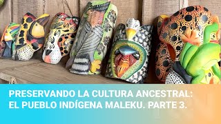 Preservando la cultura ancestral El pueblo indígena Maleku Parte 3 [upl. by Annawak980]