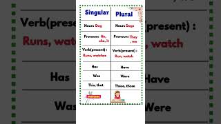 SINGULAR VS PLURAL  NOUN  PRONOUN  VERB [upl. by Yahska]