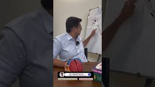 Grey matter vs White MatterNEET Human Physiology Part 1Nervous System Dr Rahul ChawlaNeurologist [upl. by Celesta]