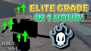 How To Get Elite Grade In 1 Hour Soul Reaper  All Spirit Requests  Type Soul Guide [upl. by Tarah260]