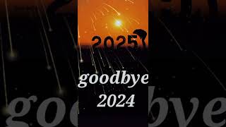 goodbye 2024 [upl. by Enialb]