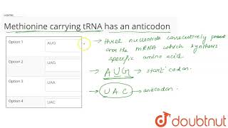 Methionine carrying tRNA has an anticodon [upl. by Durning749]