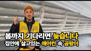 입주청소 할 때 에어컨 분해청소도 같이 하세요 봄까지 그냥 두시면 집안에서 곰팡이를 키우시는 겁니다 올림픽 파크 포레온 에어컨분해청소 입주청소 깨끗하게 올림픽파크포레온 [upl. by Reneta]