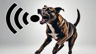 Dog Barking  Dog Barking Sound Effect  Kutte Ki Awaaz [upl. by Aicirpac]