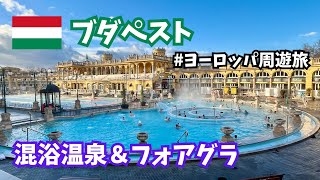 【ブダペスト】温泉とフォアグラを楽しむハンガリー旅！ [upl. by Kobe]