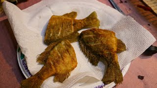 Frying WHOLE Blue Gills You NEED To Try This [upl. by Ozne509]