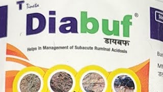 Diabuf  Helps in Management of Subacute Ruminal Acidosis SNF FAT BUFFALO COW [upl. by Lamont820]