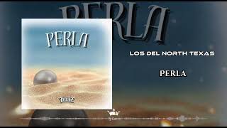 Los Del North Texas  Perla 2024 [upl. by Nepsa316]