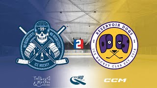 Regretzkys v Reservoir Dogs  Div 2  25th November  iceHQ Rec League ice hockey [upl. by Scotty]