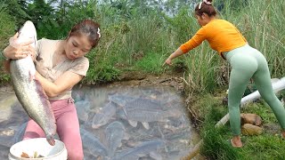 Full Video Daily Life Fishing How To Fishing in The Wild Harvesting Many Big Fish  Fishing Girl [upl. by Kirtley]