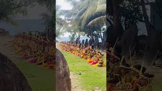 Traditional Yapese sitting dance micronesia pacificisland travel traditionaldance shorts [upl. by Auhoj735]