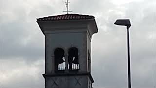 Le campane di Fratta di Pordenone chiesa parrocchiale di Sant’Antonio abate [upl. by Jeffers]