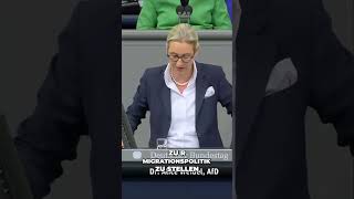 Wähler Täuschen Migrationspolitik und Ängste der Parteien Regierungserklärung Alice Weidel 2024 [upl. by Asiram]