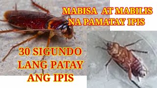 MABISA AT MABILIS NA PAMATAY IPIS  HOME MADE INSECTICIDE [upl. by Leizo]