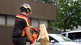 Chainsaw Carving at Protos Pfanner [upl. by Wellesley26]