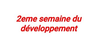 Deuxième semaine de développement embryonnaire أروع شرح لدرس✅ [upl. by Jacquet]