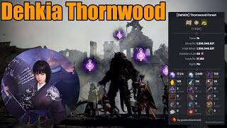 Black Desert  Dehkia Thornwood Forest  Woosa Succ  17200 Trash 153b Silver Lv2H [upl. by Bina51]