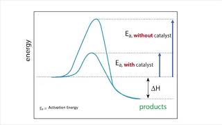 Catalytic Properties Of Transition Metals amp Their Compounds A2 chemistry [upl. by Meesaw]