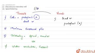 Tracheids differs from vassels in having [upl. by Ottavia]