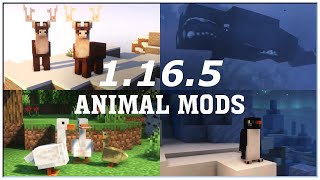 Best 1165 Animal Mods Forge  Minecraft Cinematic Showcase [upl. by Gotcher]