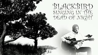 The Beatles Blackbird Cover and Lyrics  Video I Made For A Contest To Meet Paul McCartney In 2017 [upl. by Ardnahsal]