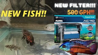 NEW FLUVAL 110 UNBOXINGREVIEW amp SETUPNEW FISH [upl. by Mikaela]