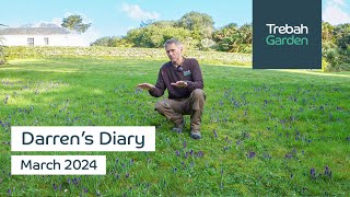 Spring Colour Emerges  March 2024  Darrens Diary [upl. by Tulley949]