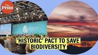 All you need to know about the Global Biodiversity Framework [upl. by Asilana739]