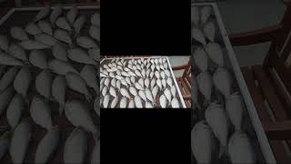 Dried fish gawa ni neng naron [upl. by Yntirb391]