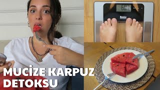 3 GÜNLÜK KARPUZ DETOKSU  İrem Güzey [upl. by Ialohcin616]