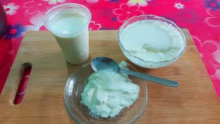 টক দই খুব সহজে ঘরেই তৈরি করে খাওয়া যায় Home made yogurt recipe [upl. by Yenruoj500]