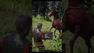 RARE Horse Location In RDR2 shorts rdr2 funny [upl. by Shela873]