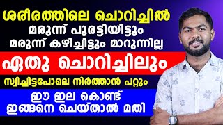 ഏതു ചൊറിച്ചിലും സ്വിച്ചിട്ടപോലെ നിർത്താൻ ഈ ഇല കൊണ്ട് ഇങ്ങനെ ചെയ്‌താൽ മതി chrichil maran Dr Umer [upl. by Hilton]