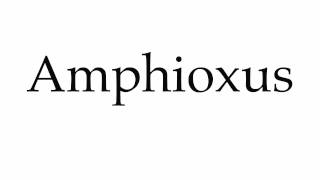 How to Pronounce Amphioxus [upl. by Aihsercal763]