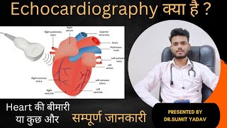 Echocardiography क्या है That Heart Test Can Save Your Life [upl. by Anitsim]