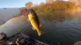 Fall Smallmouth Fishing on the Des Plaines River [upl. by Guibert]