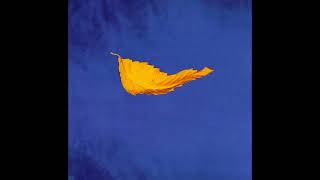 New Order  True Faith  1987 [upl. by Selway281]