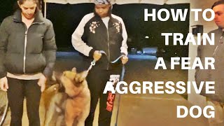 How To Train A Fear Aggressive Dog [upl. by Gentille]