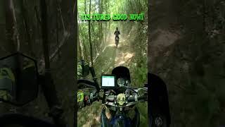 This tune is amazing  Yamaha yz450fx  Big wheel dirt bike  Durty dabbers [upl. by Hara616]