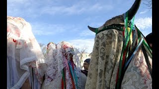 IL CARNEVALE DI BASILICATA [upl. by Imyaj]