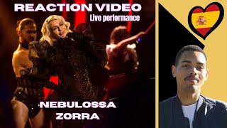 Reaction  Nebulossa  Zorra Eurovision 2024  Spain [upl. by Rickey]